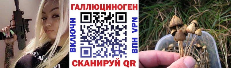 Галлюциногенные грибы прущие грибы  наркотики  мега сайт  Дмитровск 