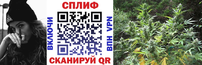 Каннабис сатива  купить закладку  Дмитровск 